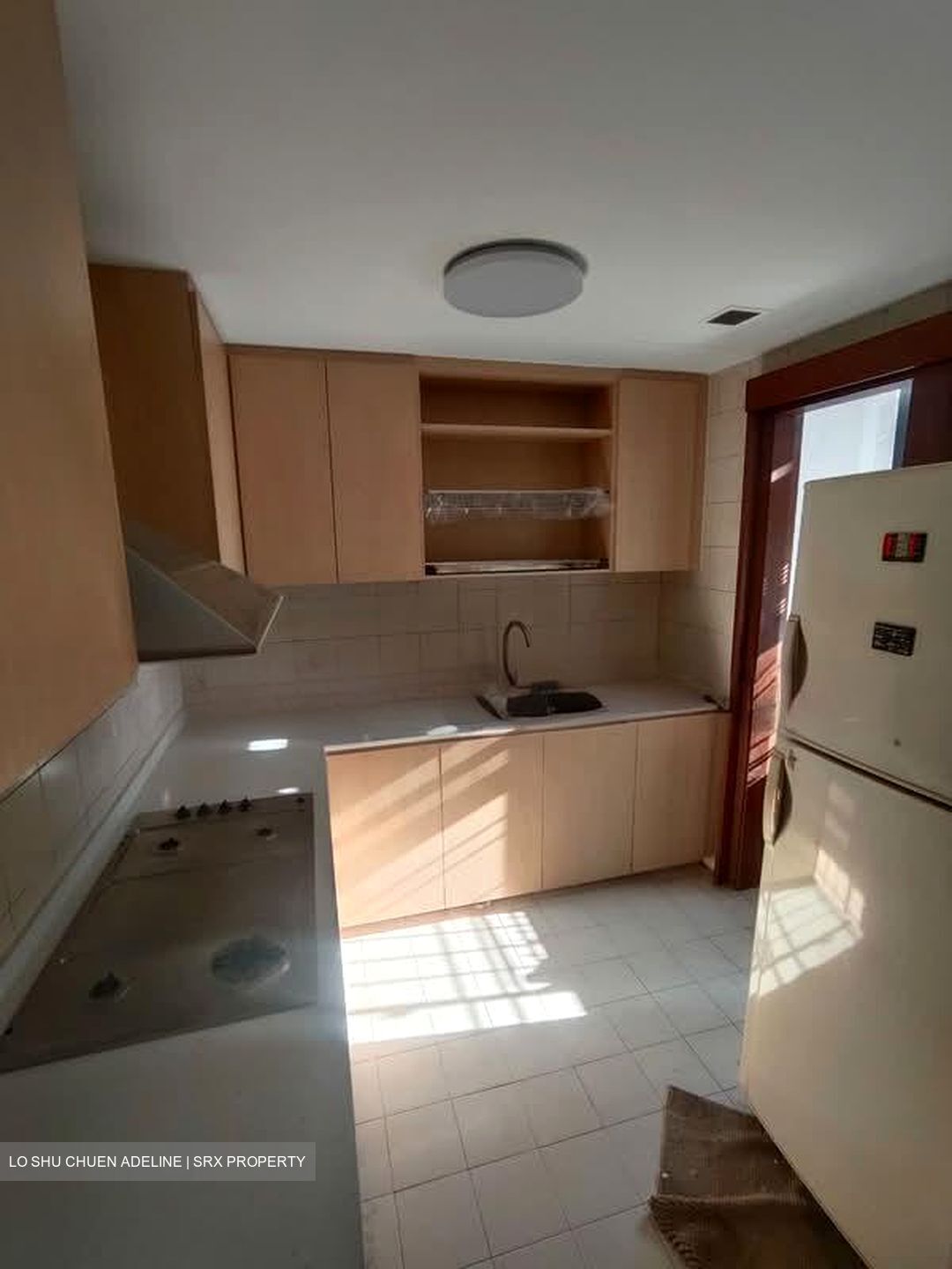 Carissa Park Condominium (D17), Condominium #573030451